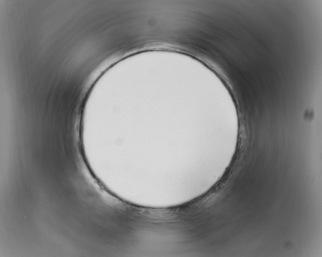 X0000114071007200911161148