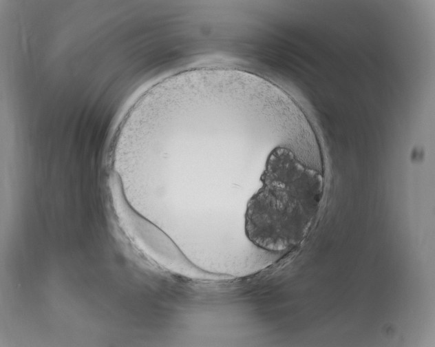 X0000114071008200911161148