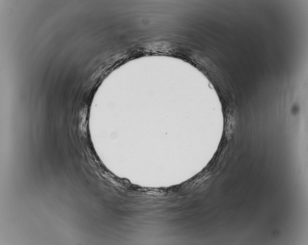 X0000114071010200911161147