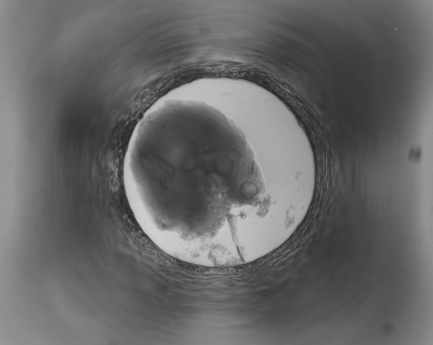 X0000114071013200911161147