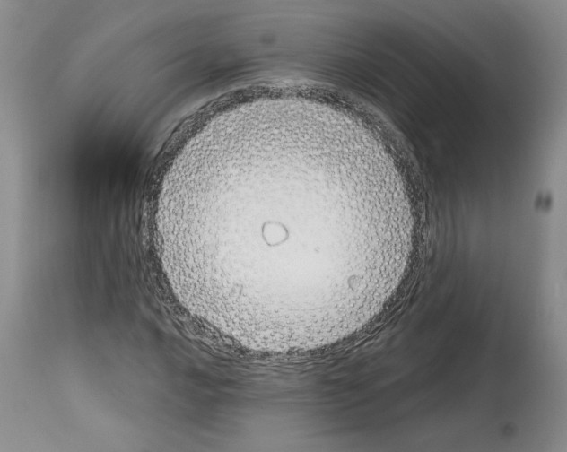 X0000114071016200911161147