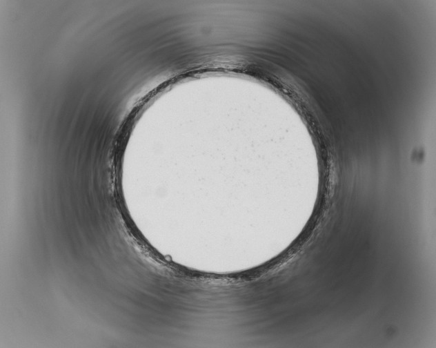 X0000114071018200911161147