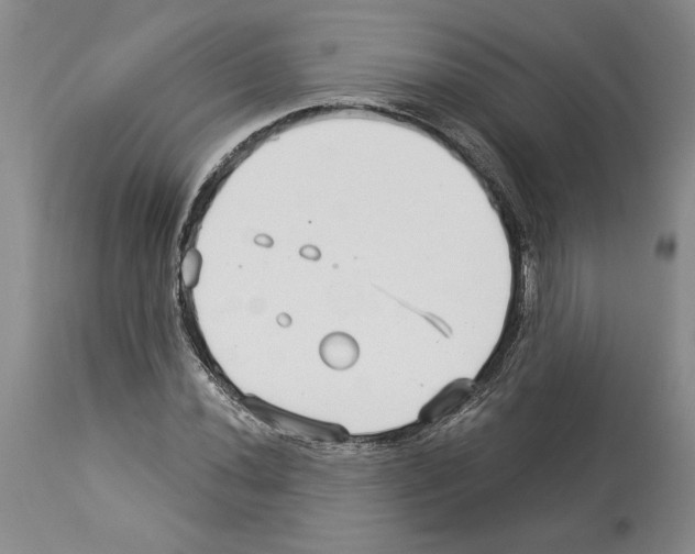 X0000114071020200911161147