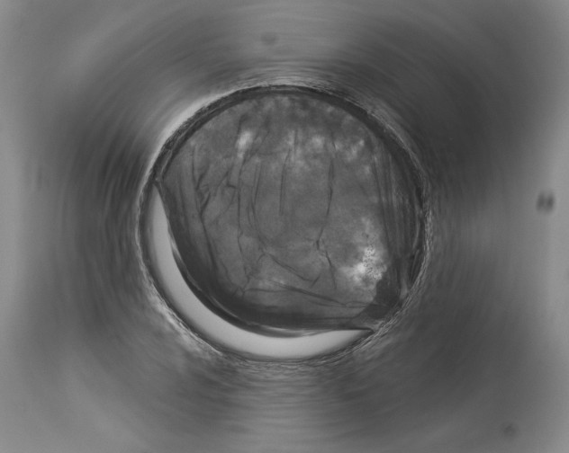 X0000114071024200911161147