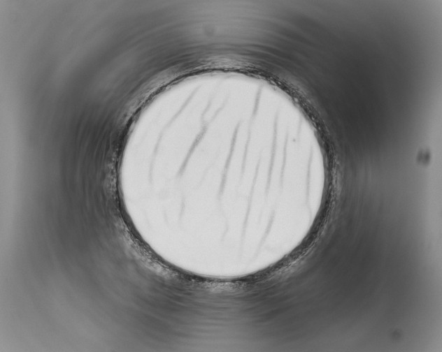 X0000114071025200911161147