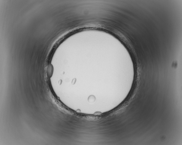 X0000114071029200911161147