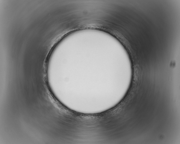 X0000114071031200911161147