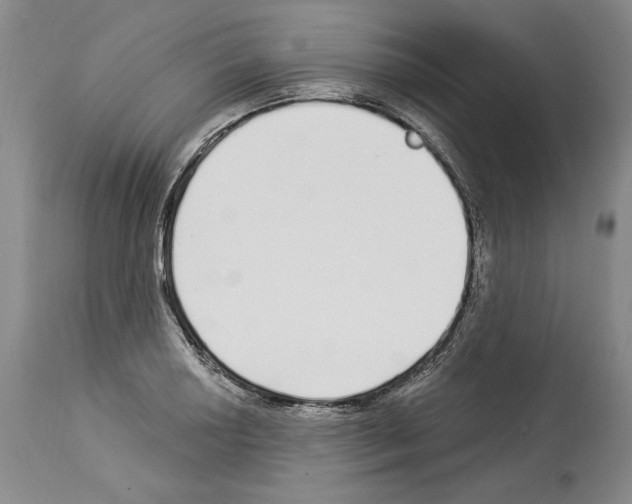 X0000114071034200911161147