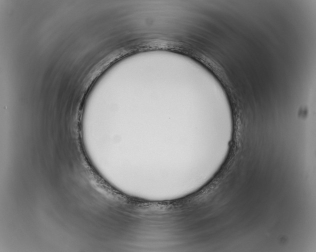 X0000114071039200911161147