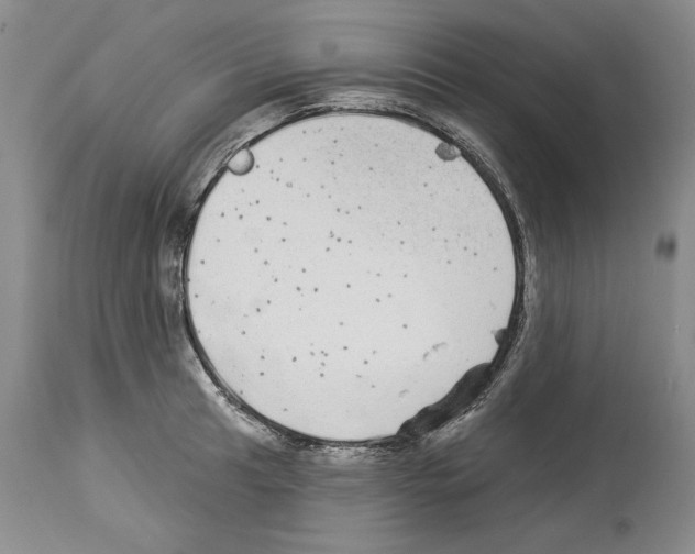 X0000114071041200911161147