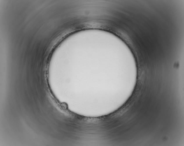 X0000114071043200911161147