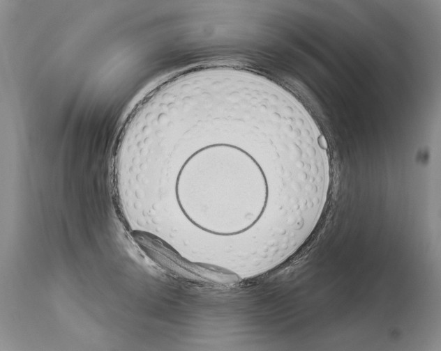 X0000114071044200911161148