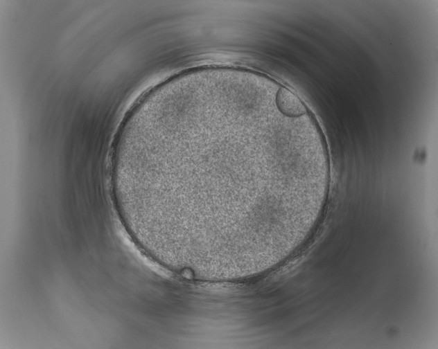 X0000114071045200911161148