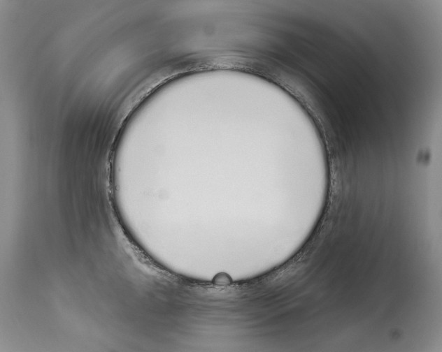 X0000114071047200911161148