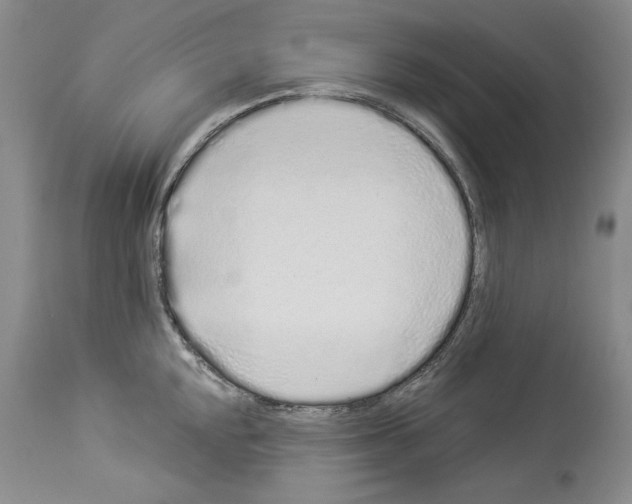 X0000114071048200911161148