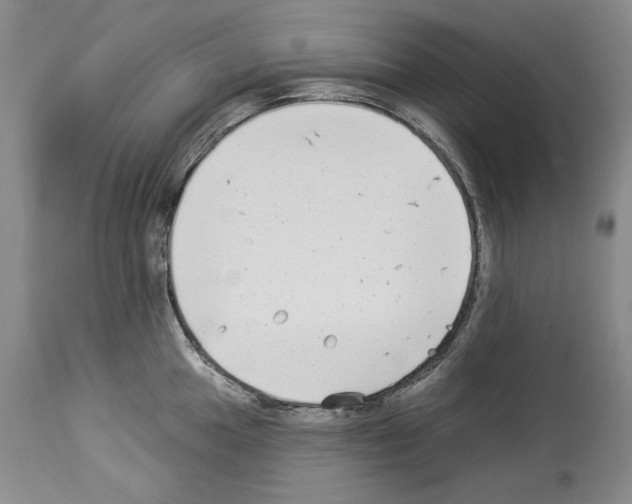 X0000114071049200911161148