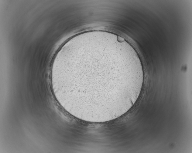 X0000114071051200911161148