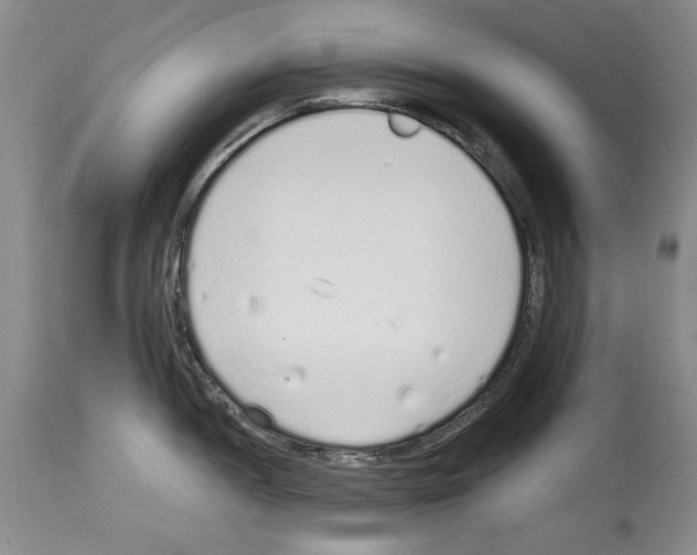 X0000114071052200911161148