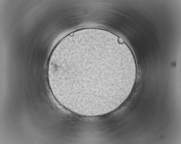 X0000114071053200911161148