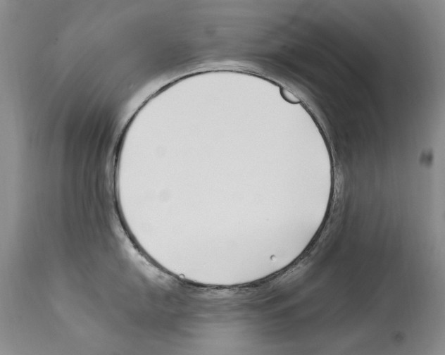 X0000114071054200911161148