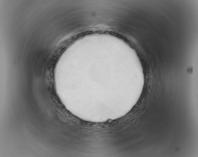 X0000114071063200911161147