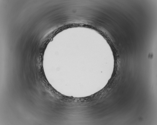 X0000114071064200911161147