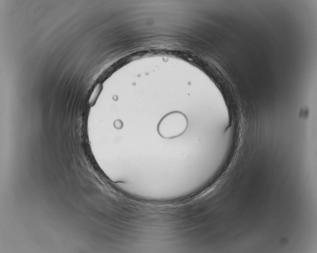 X0000114071065200911161147