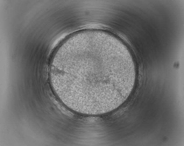 X0000114071067200911161147