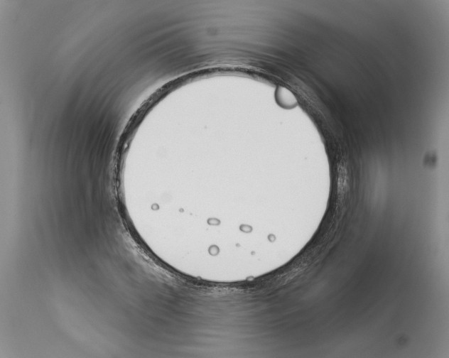 X0000114071068200911161147