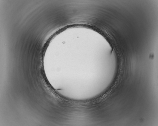 X0000114071069200911161147