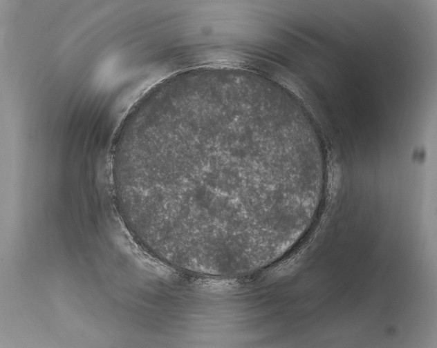 X0000114071074200911161147