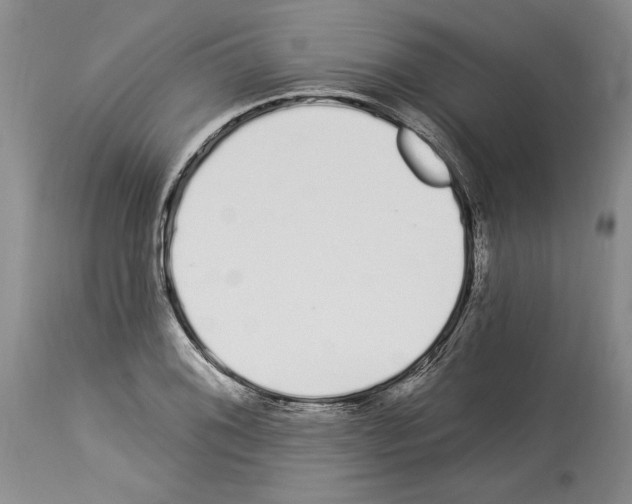 X0000114071076200911161147