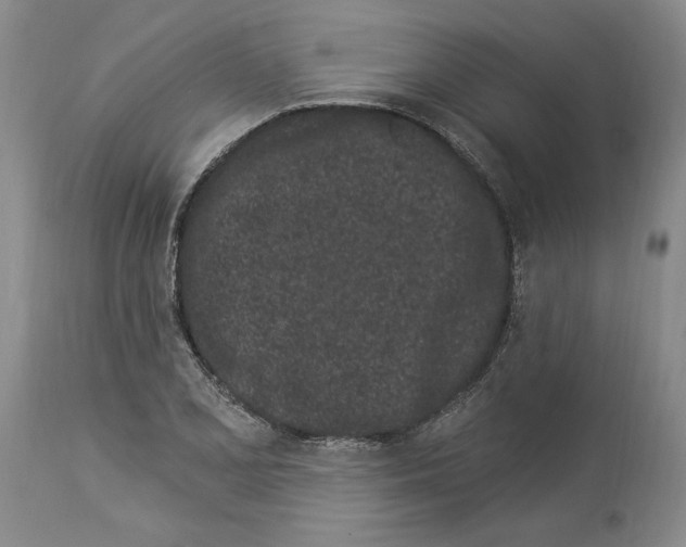 X0000114071077200911161147