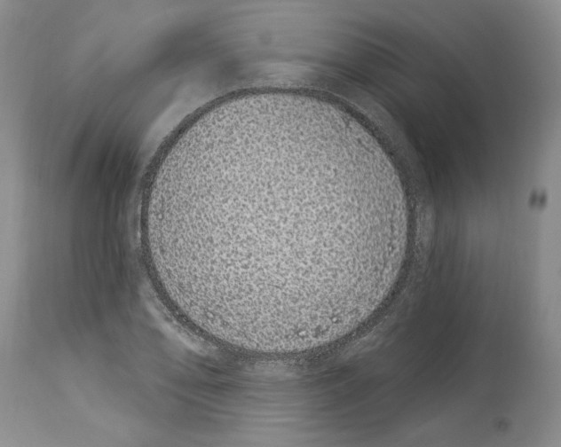 X0000114071078200911161147