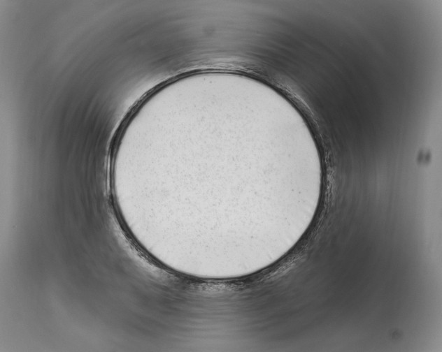 X0000114071079200911161147