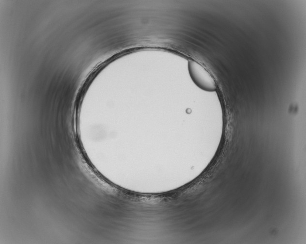 X0000114071080200911161147