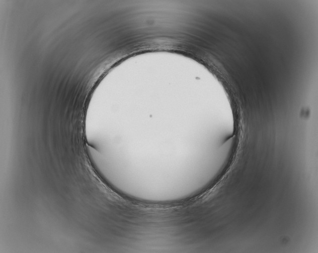 X0000114071081200911161147