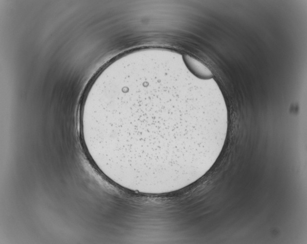 X0000114071084200911161147