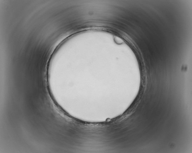 X0000114071087200911161146