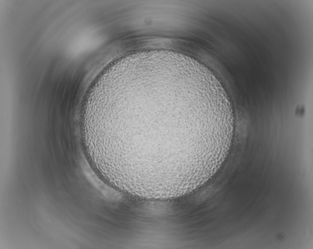 X0000114071090200911161146