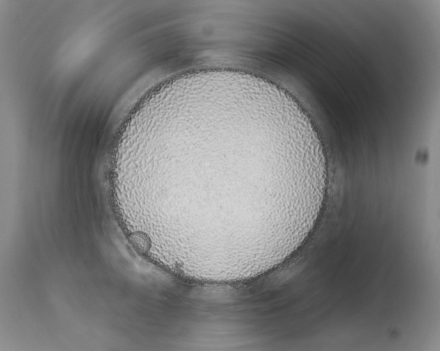 X0000114071094200911161146