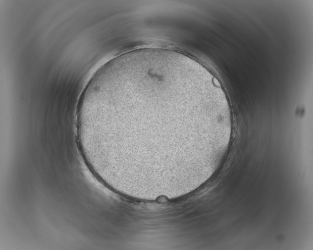 X0000114071095200911161146