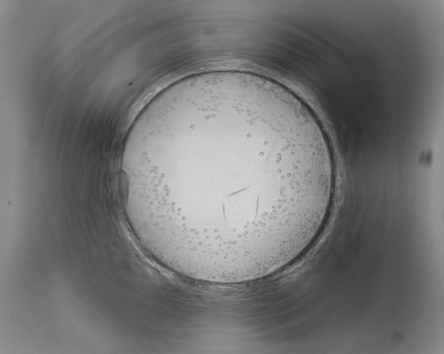 X0000114071097200911161146