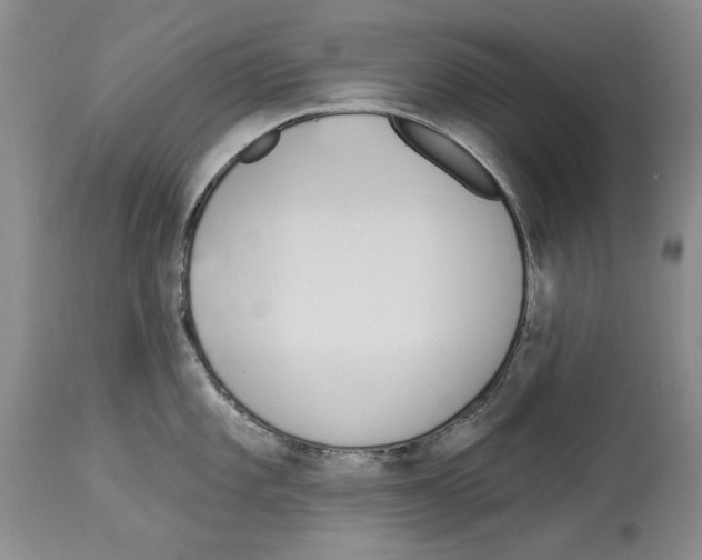 X0000114071101200911161146