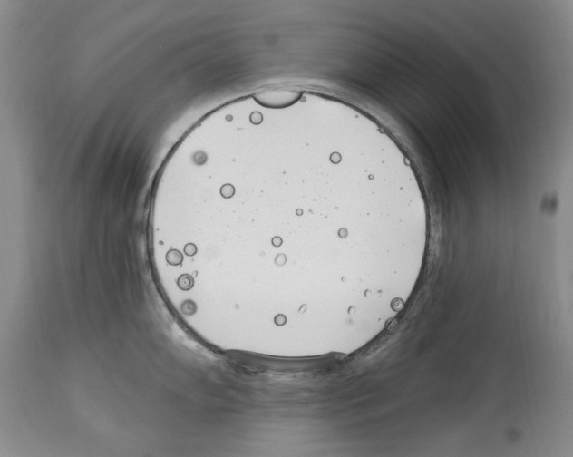 X0000114071102200911161146