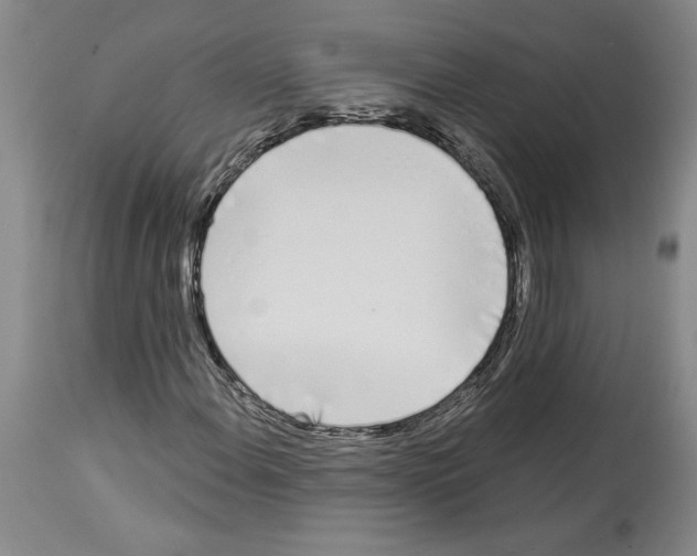 X0000114071108200911161145