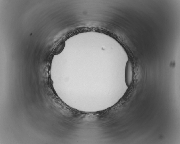 X0000114071110200911161145