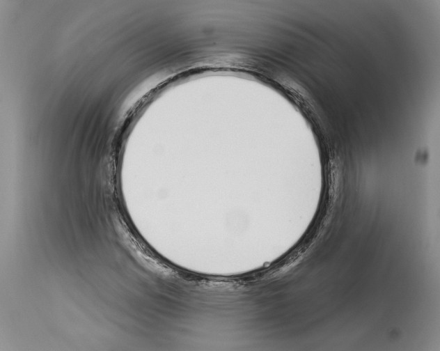 X0000114071114200911161146