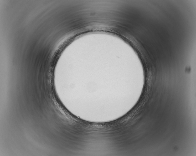 X0000114071115200911161146