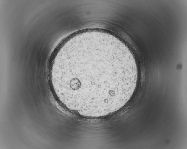 X0000114071116200911161146